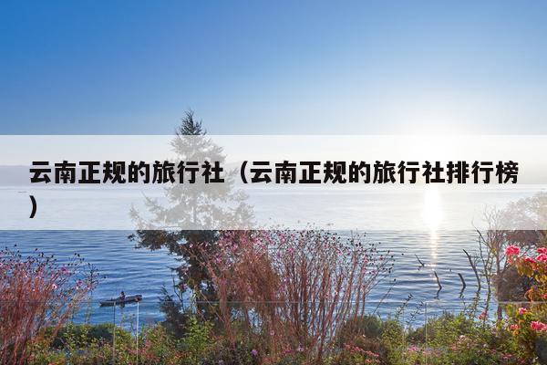 云南正规的旅行社（云南正规的旅行社排行榜）