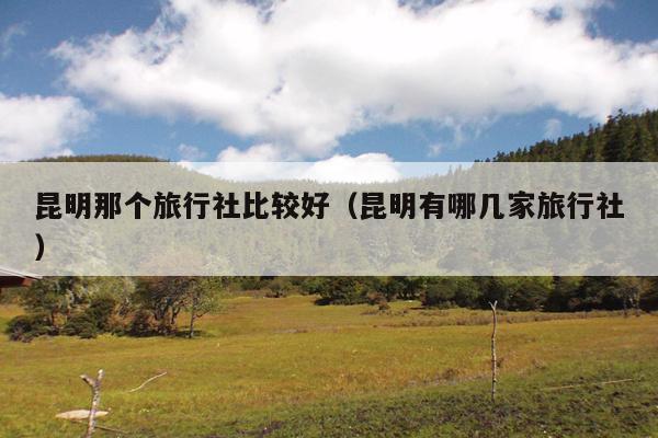 昆明那个旅行社比较好（昆明有哪几家旅行社）