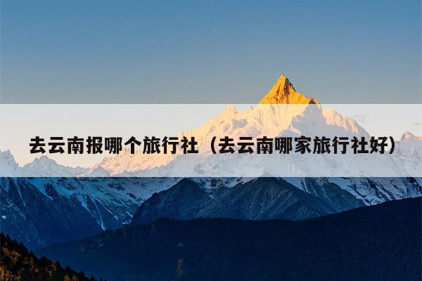 去云南报哪个旅行社（去云南哪家旅行社好）