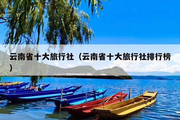 云南省十大旅行社（云南省十大旅行社排行榜）