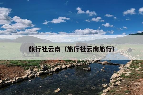 旅行社云南（旅行社云南旅行）