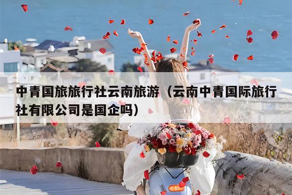 中青国旅旅行社云南旅游（云南中青国际旅行社有限公司是国企吗）