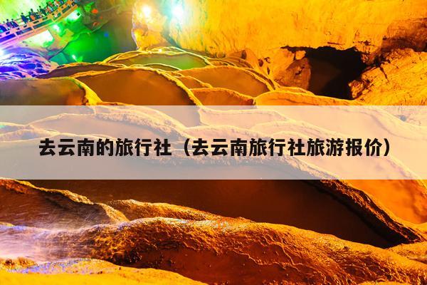 去云南的旅行社（去云南旅行社旅游报价）