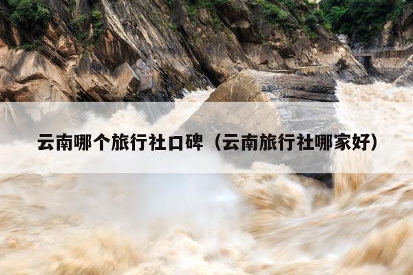 云南哪个旅行社口碑（云南旅行社哪家好）
