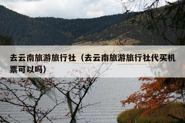 去云南旅游旅行社（去云南旅游旅行社代买机票可以吗）