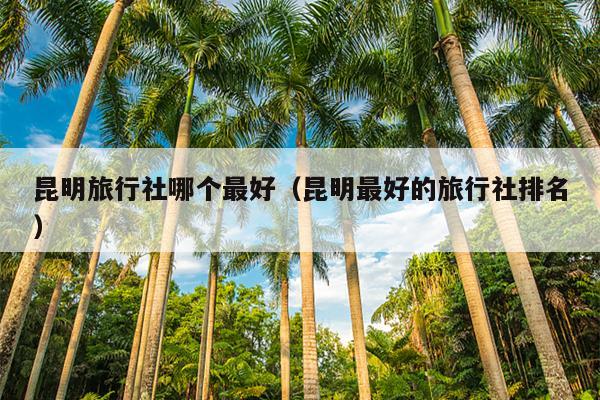 昆明旅行社哪个最好（昆明最好的旅行社排名）