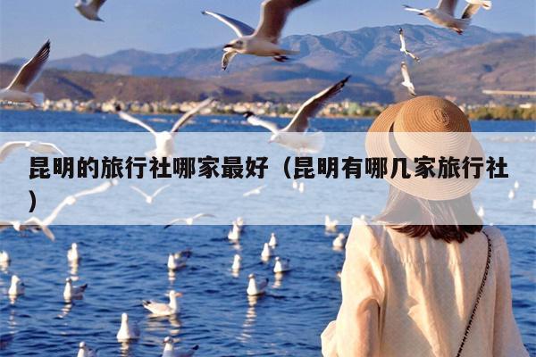 昆明的旅行社哪家最好（昆明有哪几家旅行社）