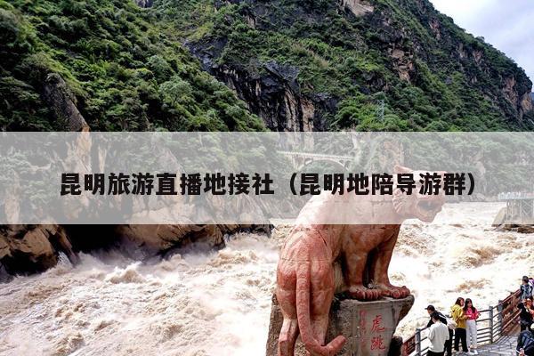 昆明旅游直播地接社（昆明地陪导游群）