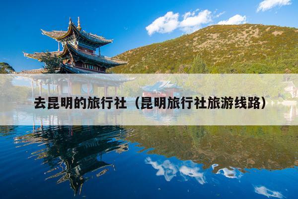 去昆明的旅行社（昆明旅行社旅游线路）