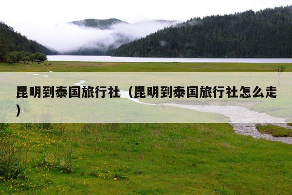昆明到泰国旅行社（昆明到泰国旅行社怎么走）