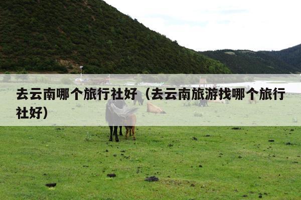 去云南哪个旅行社好（去云南旅游找哪个旅行社好）