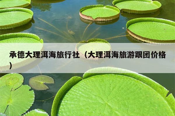 承德大理洱海旅行社（大理洱海旅游跟团价格）