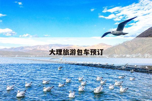 大理旅游包车预订