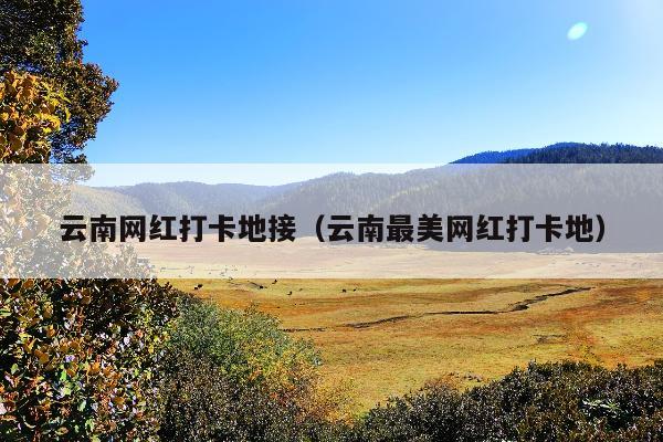 云南网红打卡地接（云南最美网红打卡地）